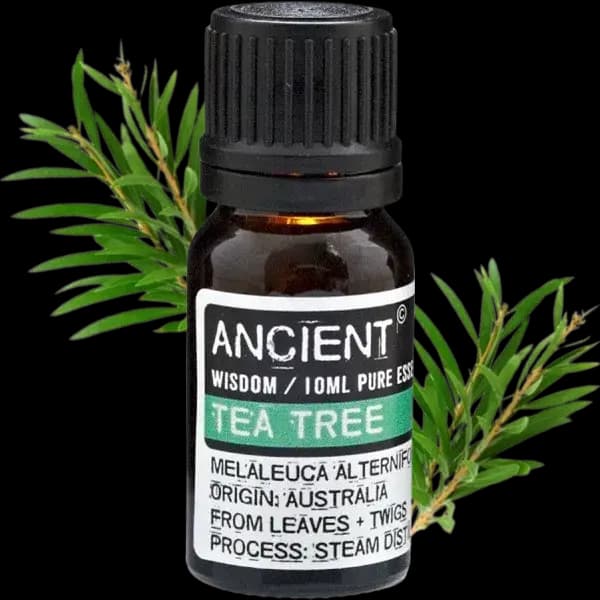 Ulei Esențial de Arbore de Ceai - 10 ml
