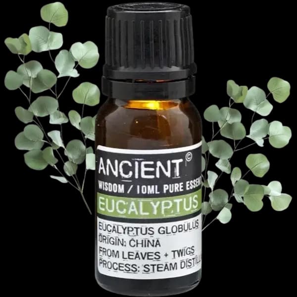 Ulei Esențial de Eucalipt - 10 ml